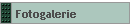 Fotogalerie