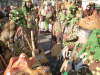 002 Sunstig 2012_0005