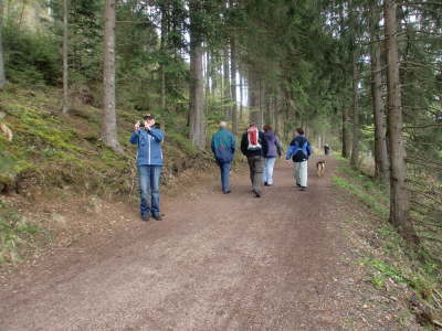 Titisee_0013